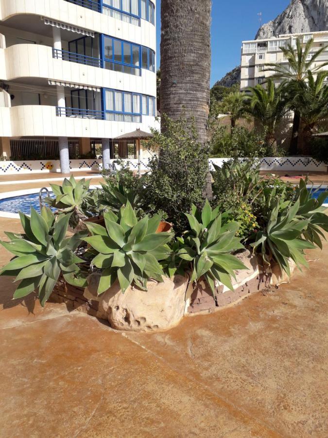 Appartement Equipe Calpe Espagne, 4 Couchages, Terrasse, Piscines, Climatisation, Garage, Wifi Gratuits エクステリア 写真